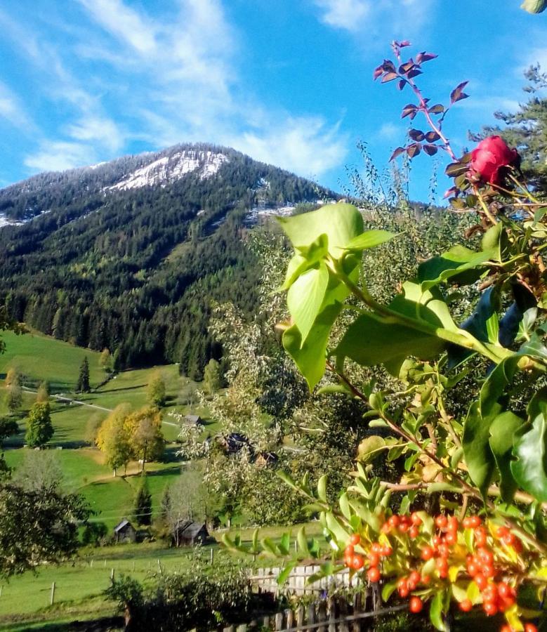 Pension Stammerhof Шладминг Екстериор снимка