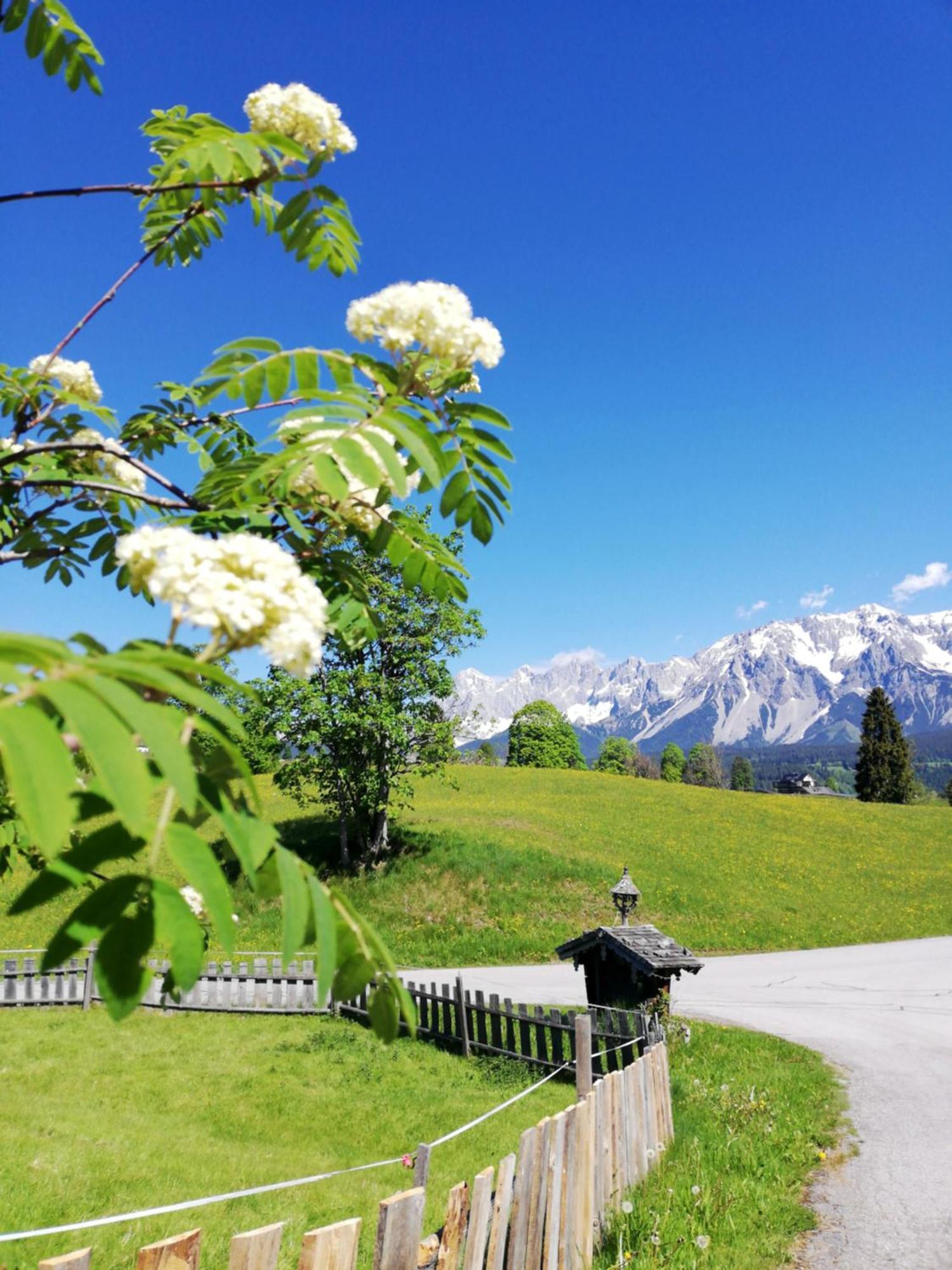 Pension Stammerhof Шладминг Екстериор снимка