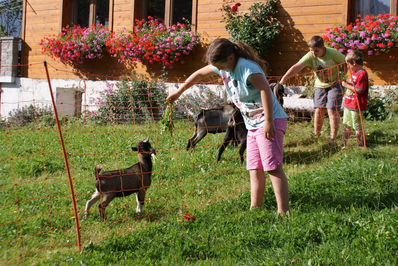 Pension Stammerhof Шладминг Екстериор снимка