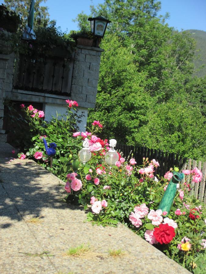 Pension Stammerhof Шладминг Екстериор снимка