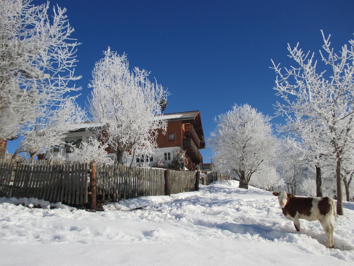 Pension Stammerhof Шладминг Екстериор снимка